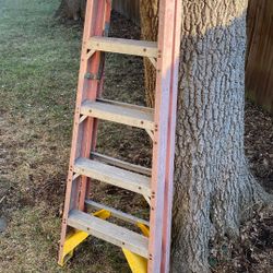 6ft Ladder
