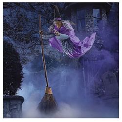 Home Accents Moonlit Magic 12ft Witch