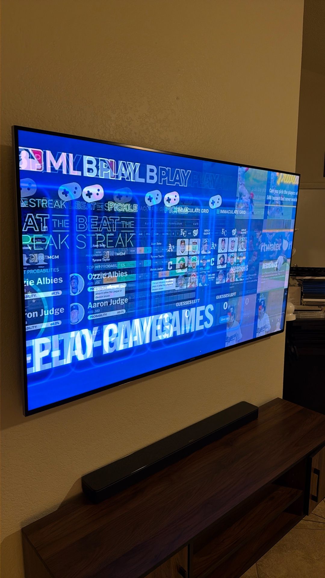 65” Flat Screen TV