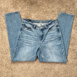 American Eagle Mom Jeans Size 4 Regular 