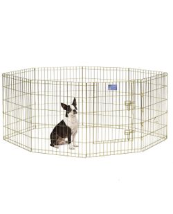 Gold Zinc Dog Pen