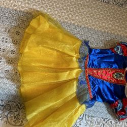 Disney Halloween Costume