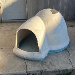 Dog House 