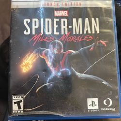Spider Man 