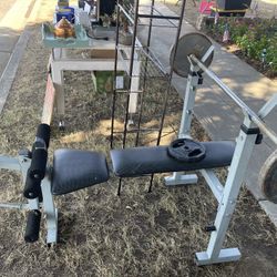 Weight Bench 