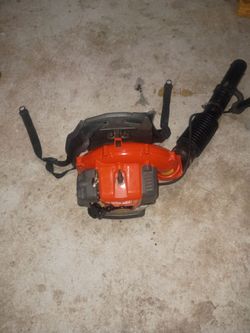 Echo Gas-Powered Backpack Leaf Blower
