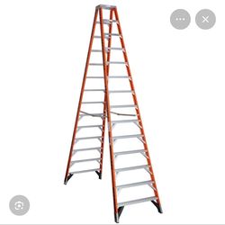 Ladder 14 foot