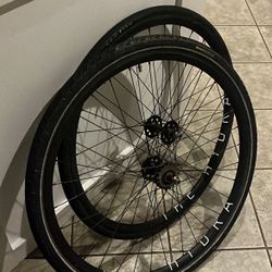 Hydra rim h plus sons
