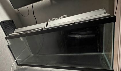 50 Gallon Aquarium Tank