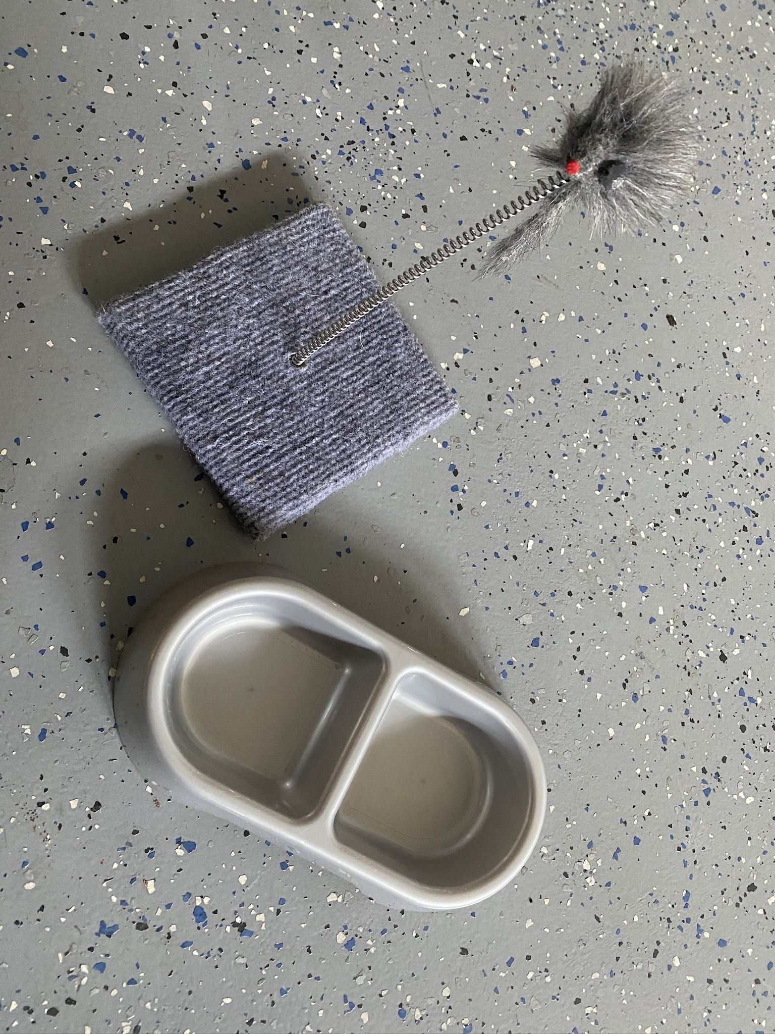 Cat Dish And Cat Toy 