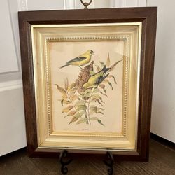 Vintage Goldfish On Fall Sumac by Rudolph Freund Print 13/15 Inch Framed Signed 