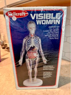 Vintage Skilcraft Visible Woman Anatomy Kit — New & Sealed — $40