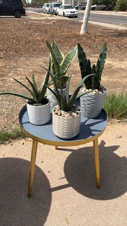 artificial plants in pot