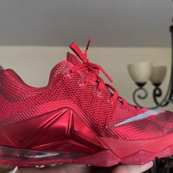 LeBron 12s - 9.5