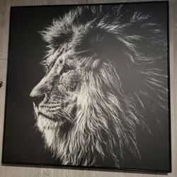Huge Beautifully Framed Lion Photography Print Canvas 