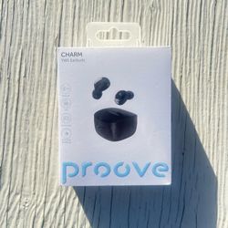 Earphones