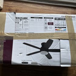 New Ashby Ceiling Fan With Remote