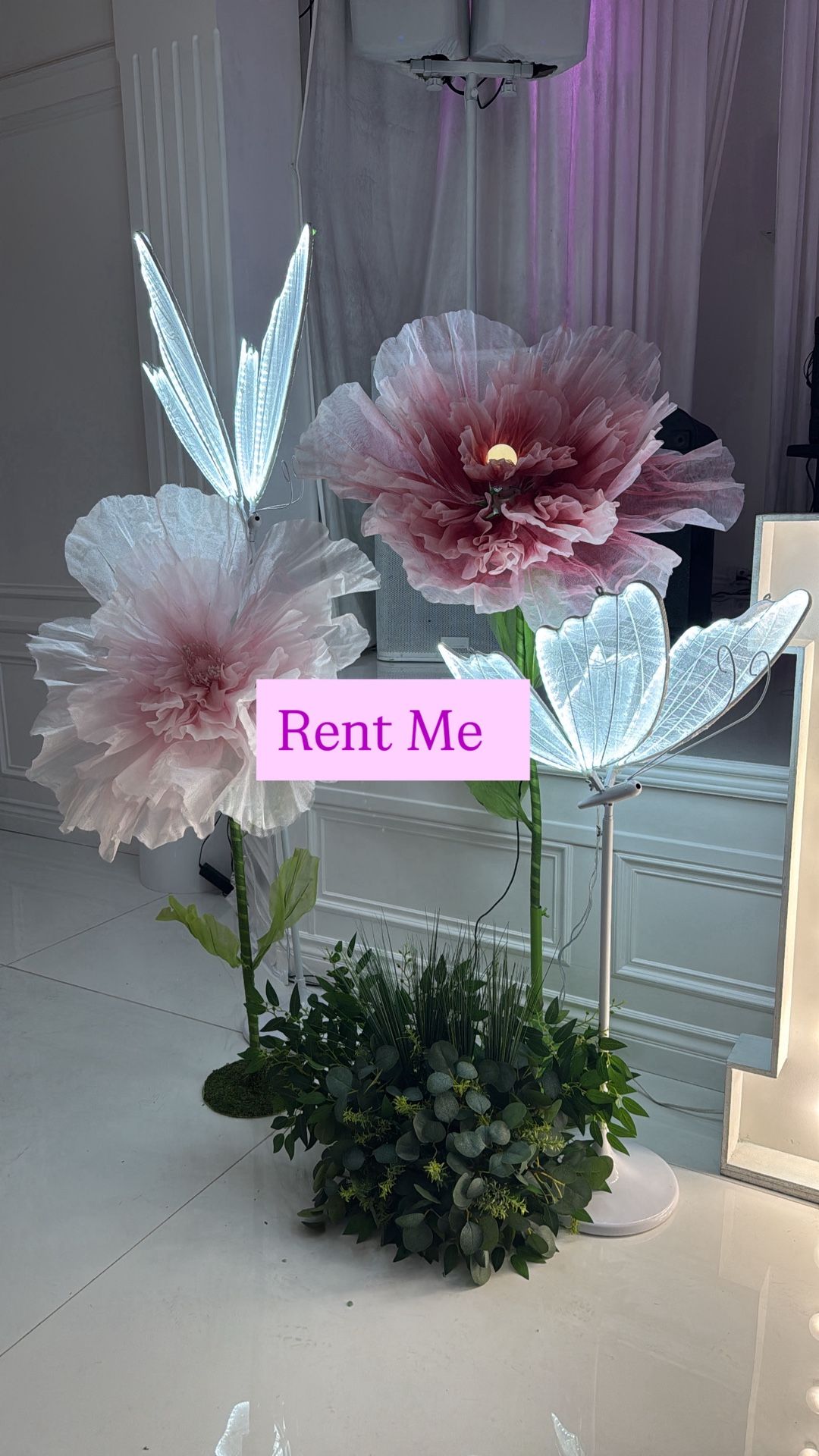 Giant Flowers and LED butterfly Lights