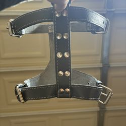 Leather Dog Harness
