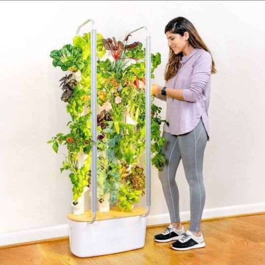 Gardyn 1.0 Hydroponic System