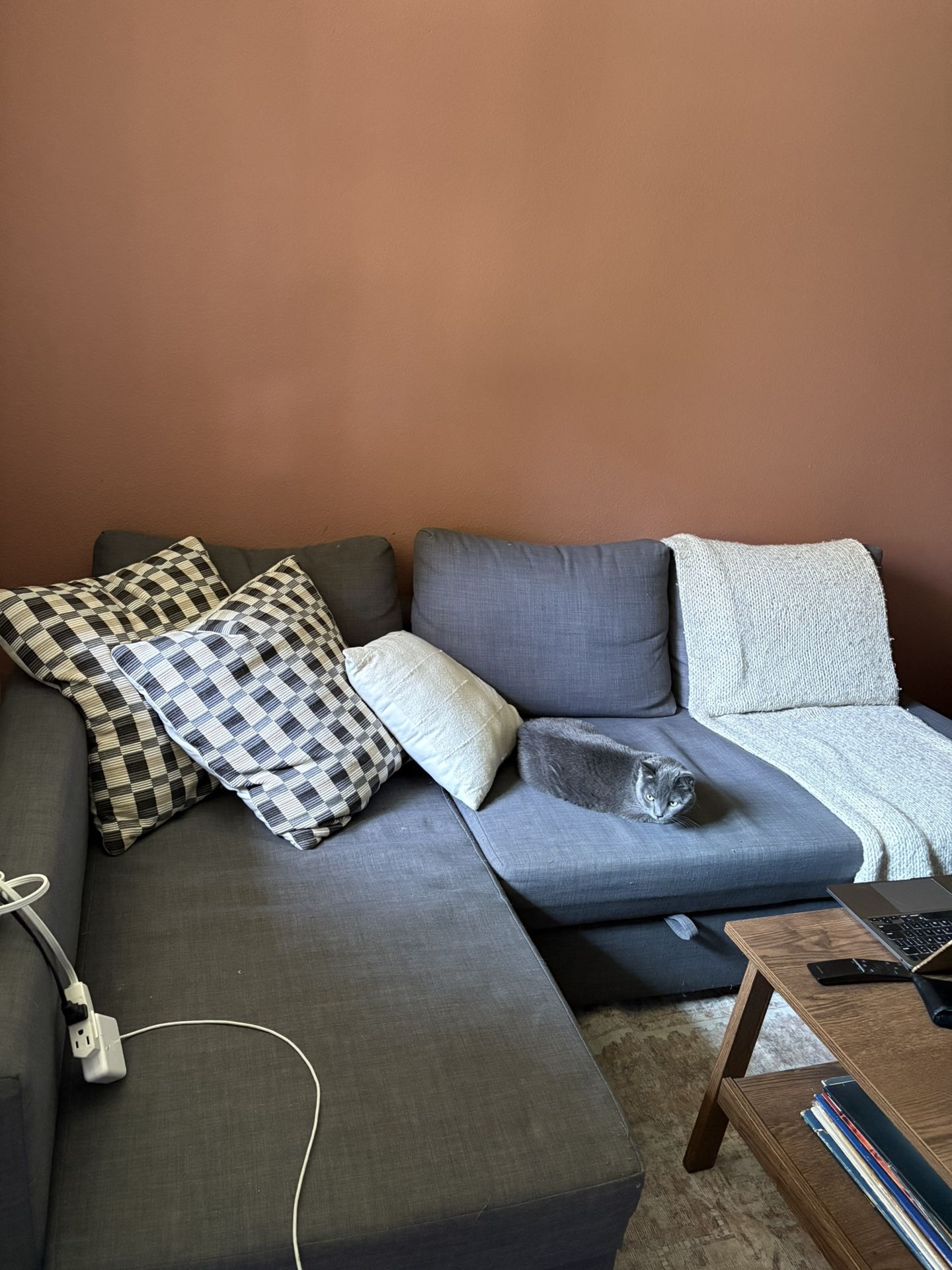 Gray IKEA Couch