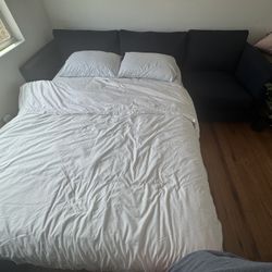 Pull Out Couch 