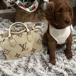 Louis Vuitton 