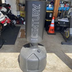 Century Punching Bag