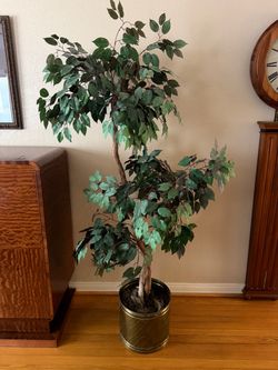 Artificial Ficus Tree - 6ft