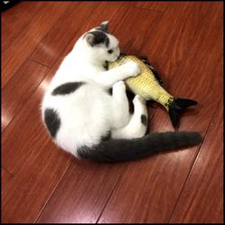 Cat Toys Like Real Fish Chargeable 