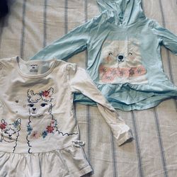 Toddler Girls 4t-5T Clothes! Pair Of Sandles!