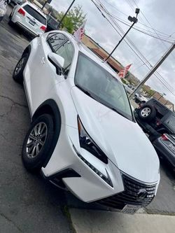 2018 Lexus NX