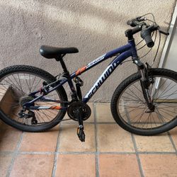 Schwinn bike 24” Inch