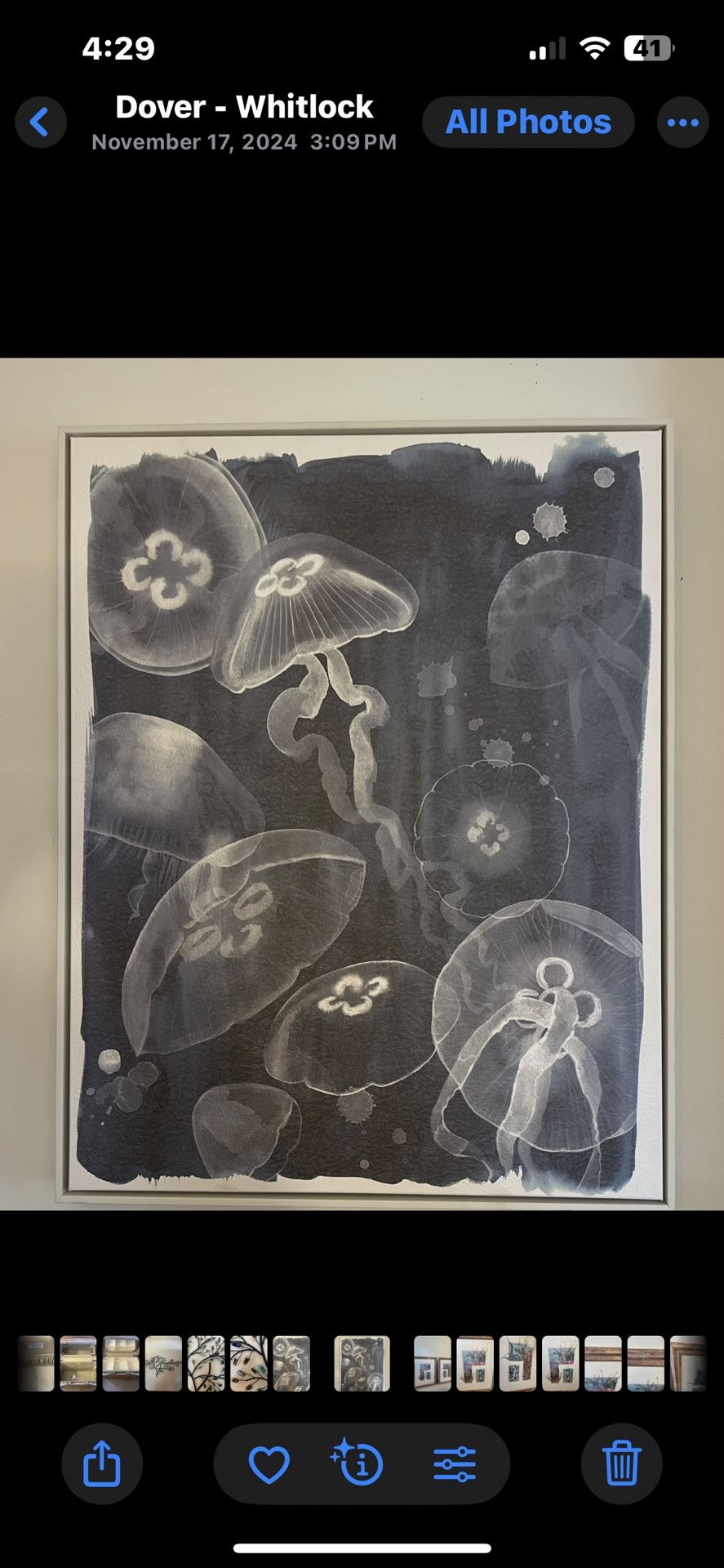 Jellyfish Art See Description