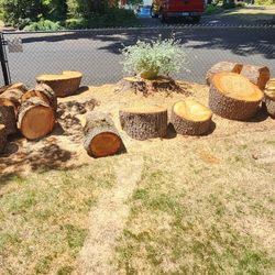 FREE Dry Fir Wood/Fire Wood! FREE
