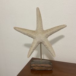 Sparkly Drift Wood Starfish Will Trade!