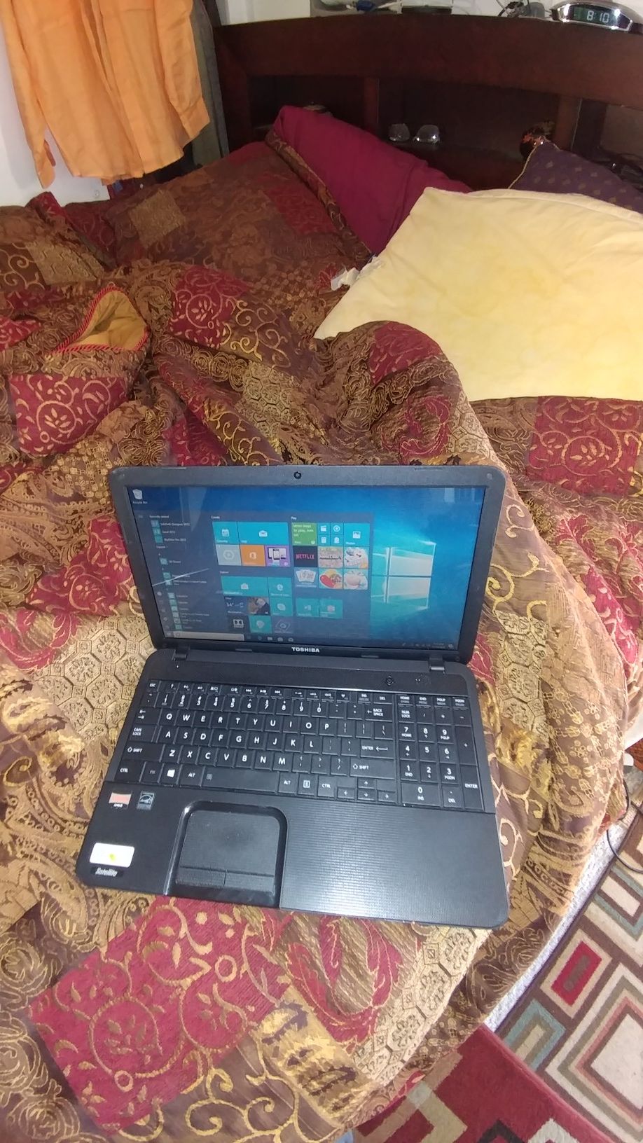 Toshiba C655d laptop 15.6in display