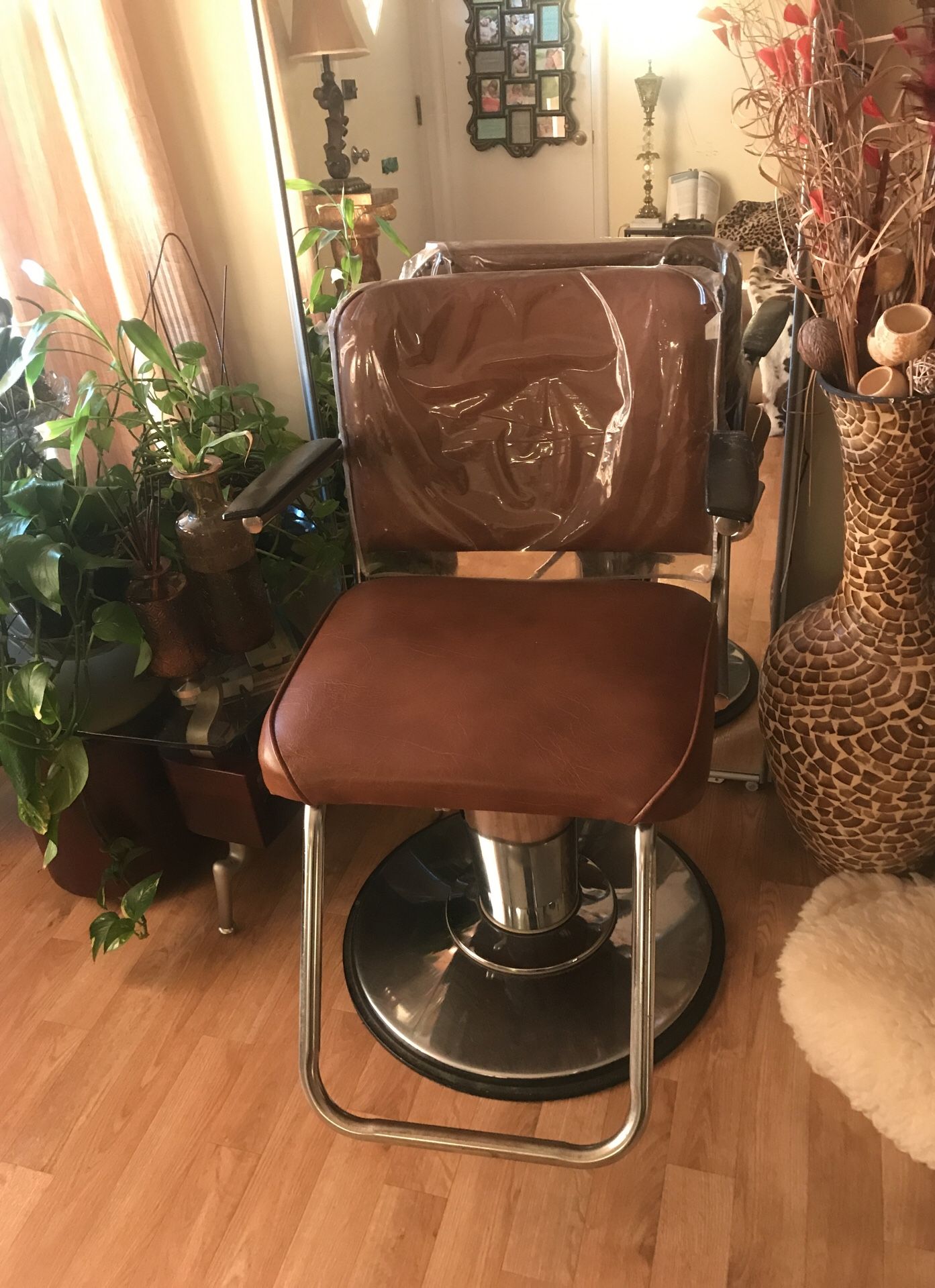 Salon Chair