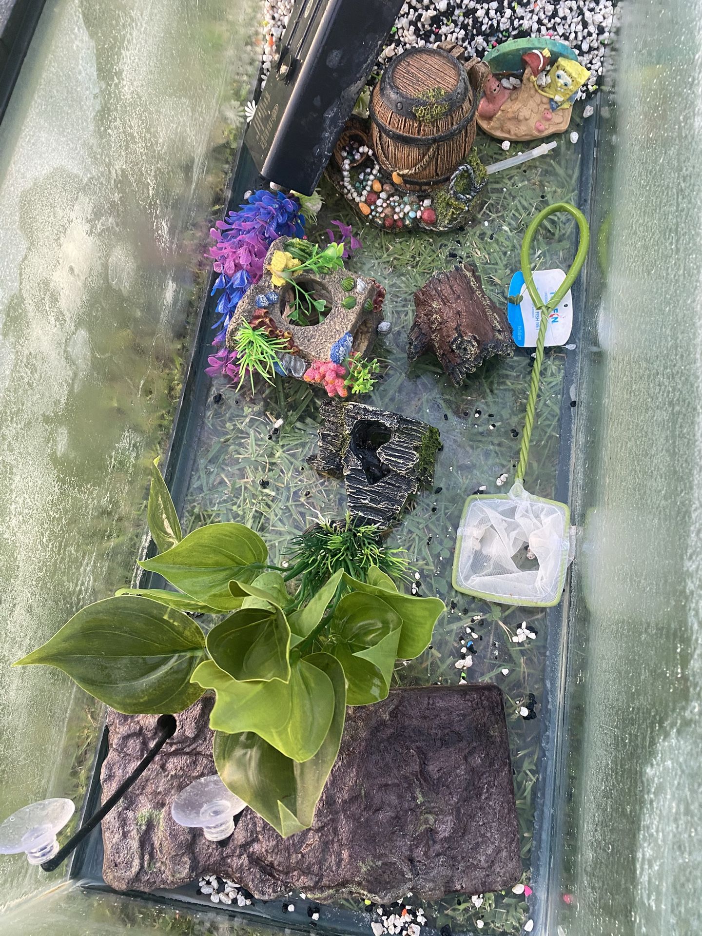 My Turtle ESCAPED ! selling his stuff