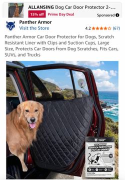 Panther armor door protection