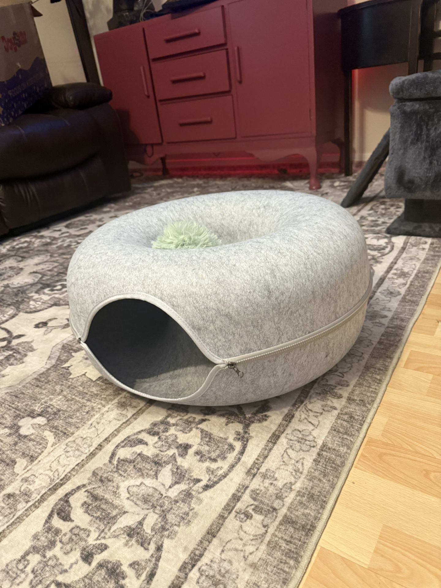 Cats Tunnel