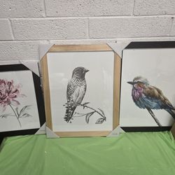 Paintings Of Flower And  Birds