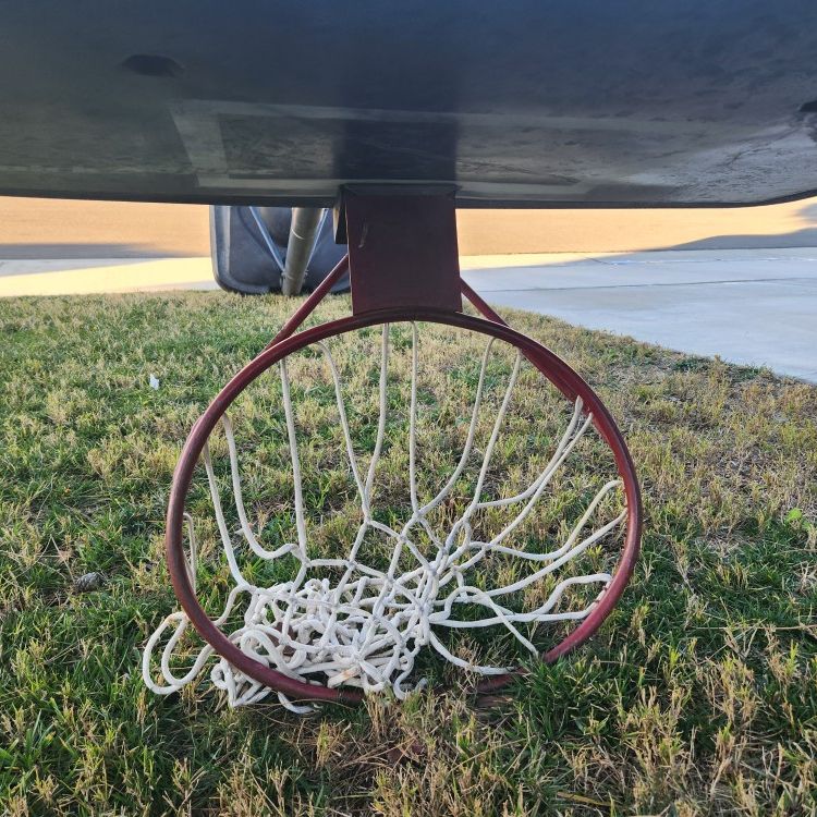 LV Basketball Hoop for Sale in San Diego, CA - OfferUp
