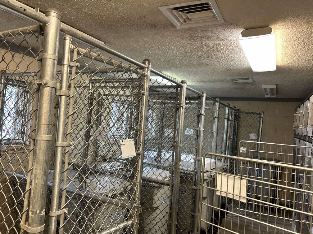 Multi-run Animal Kennels