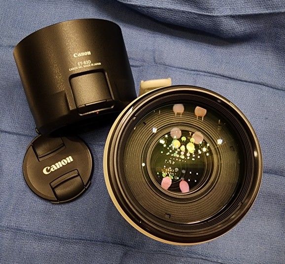 Canon EF 100-400mm f/4 5-5 6 L IS USM II