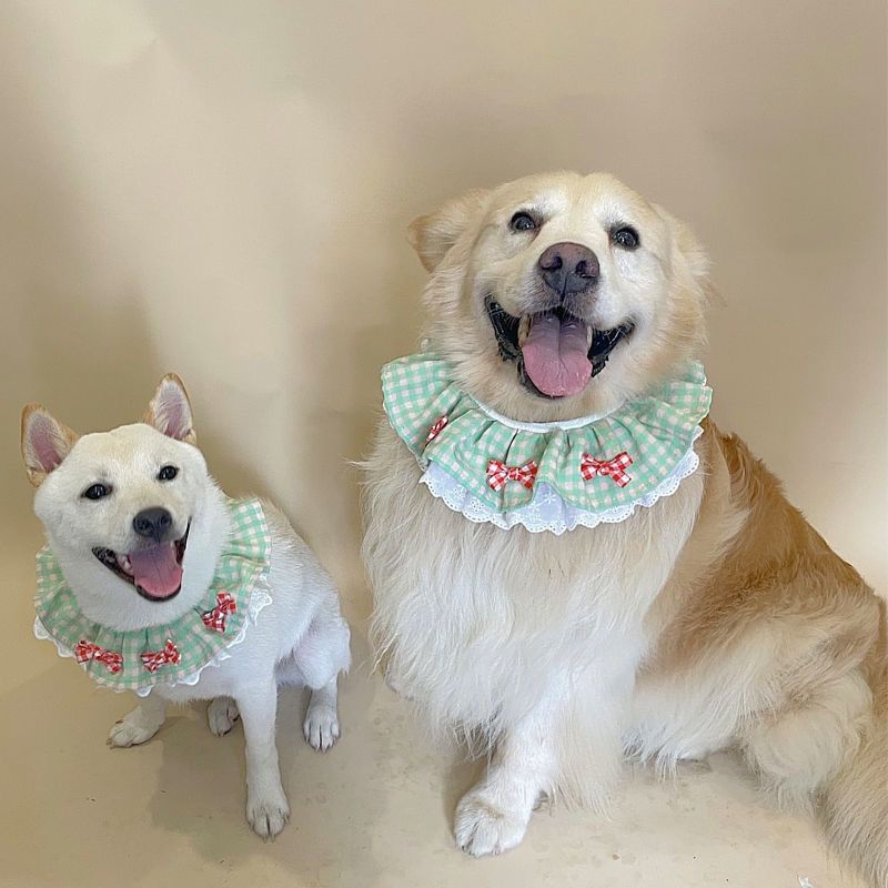 Dog clothes