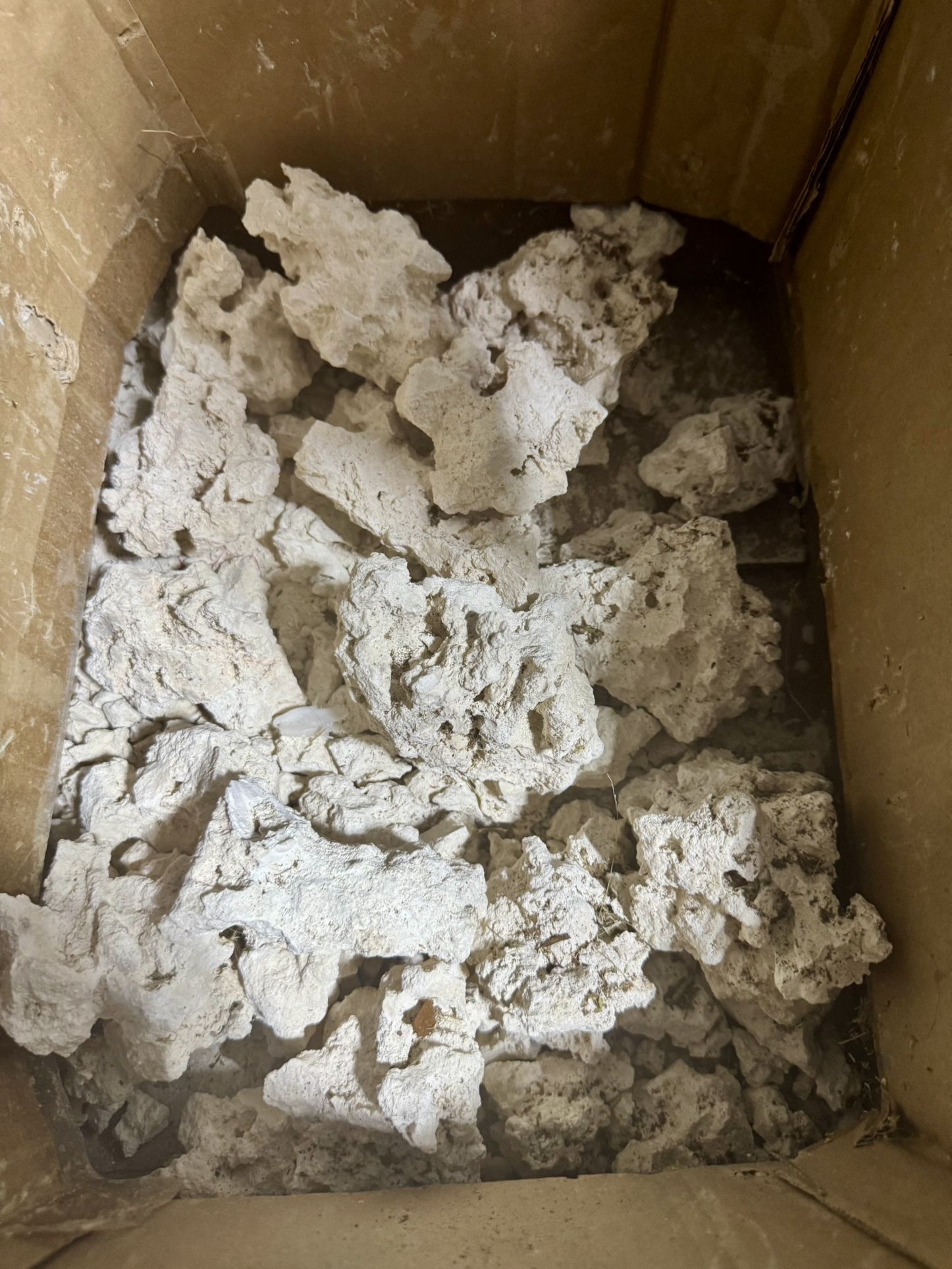 Saltwater Aquarium Dry Rock