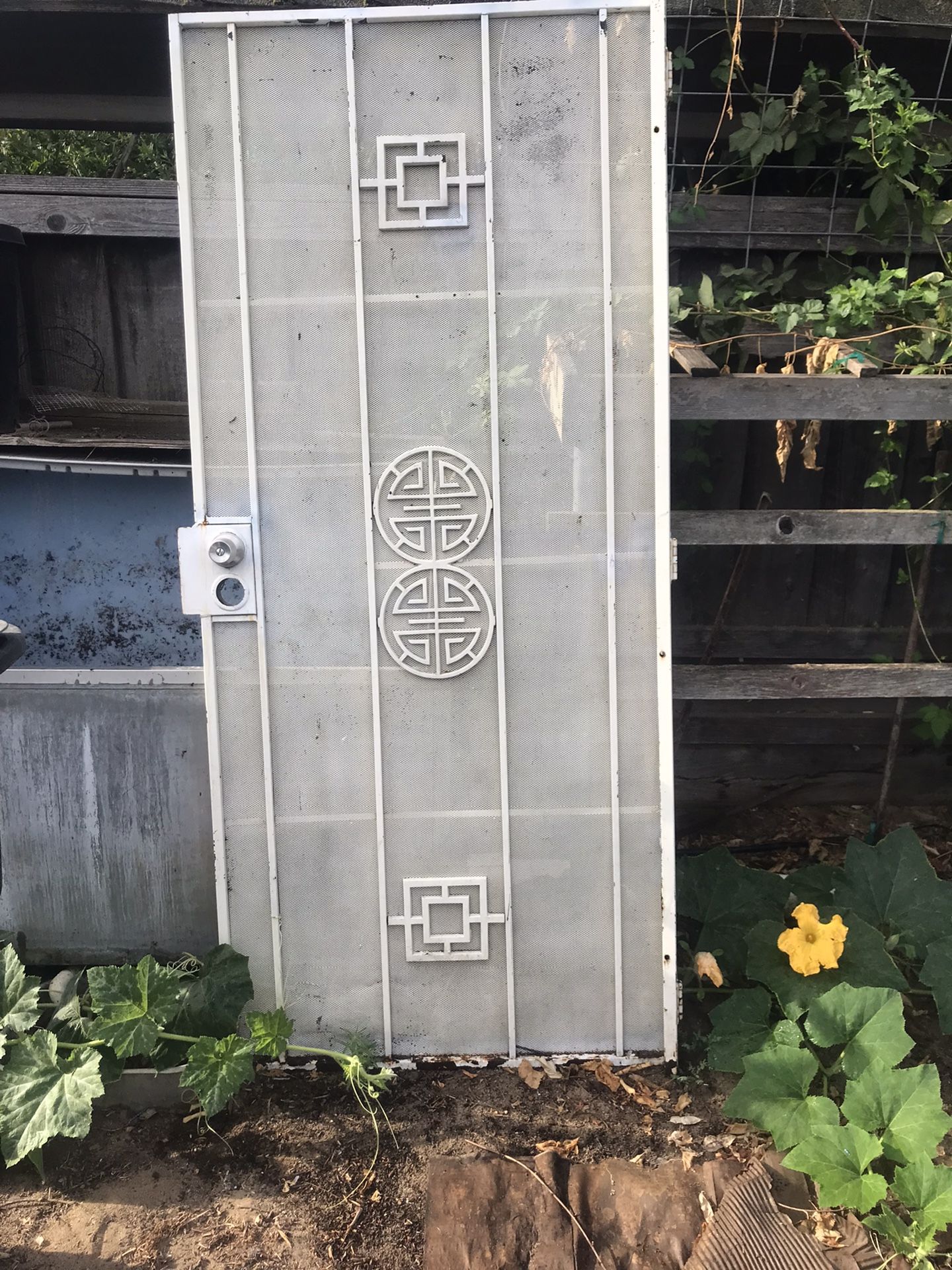 Security Door Used