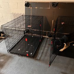 Dog Kennels Only (large And Xl Large)