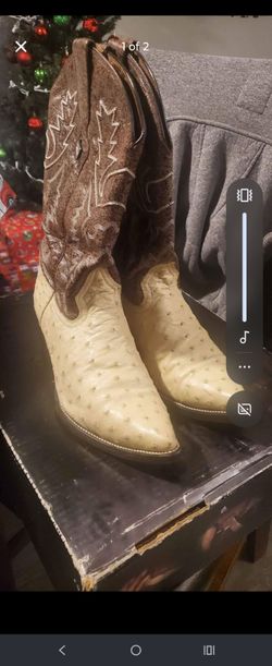 Botas de avestruz